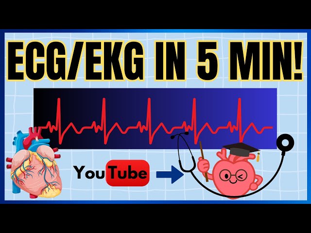 Can You Read an ECG in 5 Minutes: Beginner-Friendly ECG Interpretation Guide/ECG Made Easy