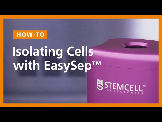 How to Isolate Cells with EasySep™ Column-Free Cell Separation Technology