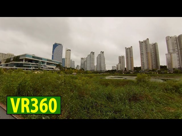 korea city travel VR 360도 영상 5.7K / 비가 그쳐 광교호수공원 산책로 수원컨벤션센터 앞 - 2021-09-01