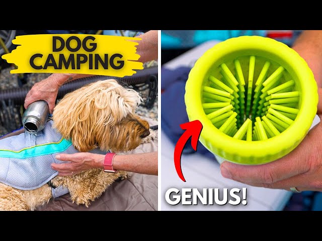 14 Must-Pack Dog Camping Essentials (You’re Missing a Few!)