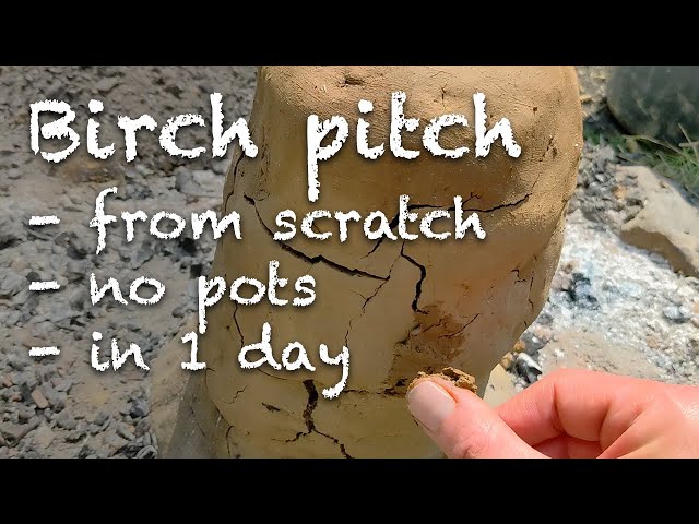 Making primitive birch pitch from scratch in one day, without pots