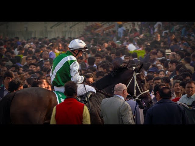 CALCUTTA DERBY WINNER 2020 | Trafalgar