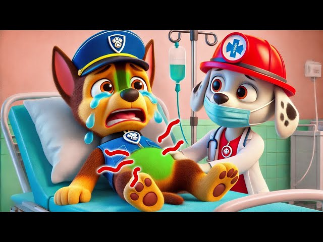 CHASE Is In The Hospital? What Happened?! | Paw Patrol The Mighty Movie| So Sad Story | Rainbow 3