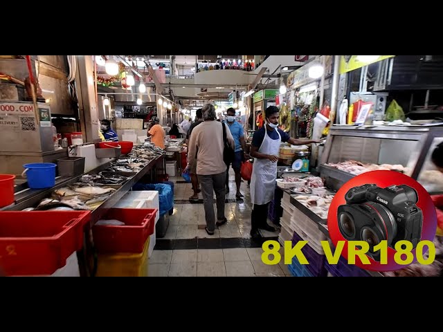 8K VR180 TEKKA MARKET LITTLE INDIA IN SINGAPORE...SHARKS TO CHICKEN 3D (Travel Videos/ASMR/Music)