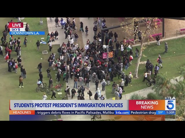 Violence breaks out at protest against Trump immigration policy