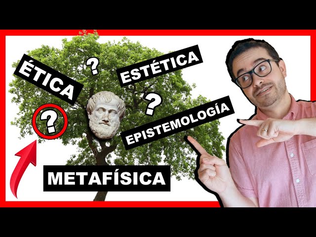 🌳 Las RAMAS DE LA FILOSOFÍA ► 19+3 Disciplinas FASCINANTES!😎