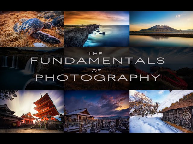 Better photos in 30mins : The fundamentals of photography