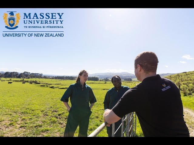 Study Animal Science at Massey University