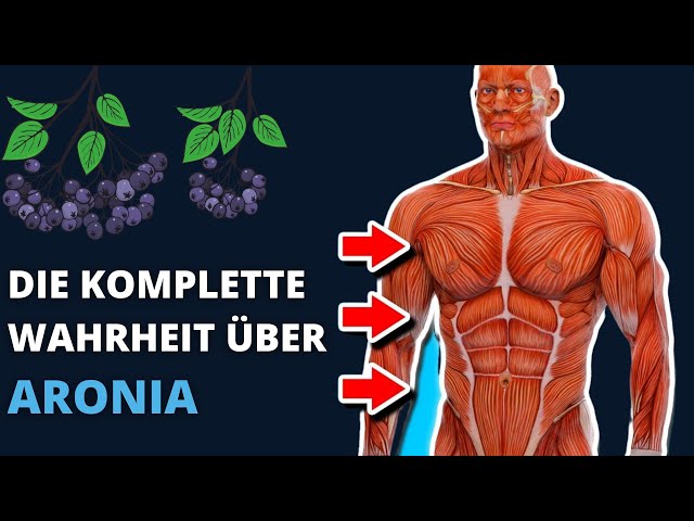 Aronia Wirkung und Verzehr vom unbekannten Super Food. Aroniabeeren Wirkung 💥