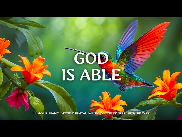 GOD IS ABLE : Instrumental Worship and Scriptures with Birds 🕊 Christian Instrumental