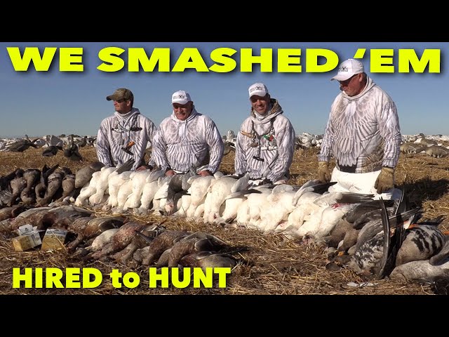 Hired to Hunt Season 7 #9: WE SMASHED EM ... Duck and Goose Hunting. Limit Hunts in Alberta