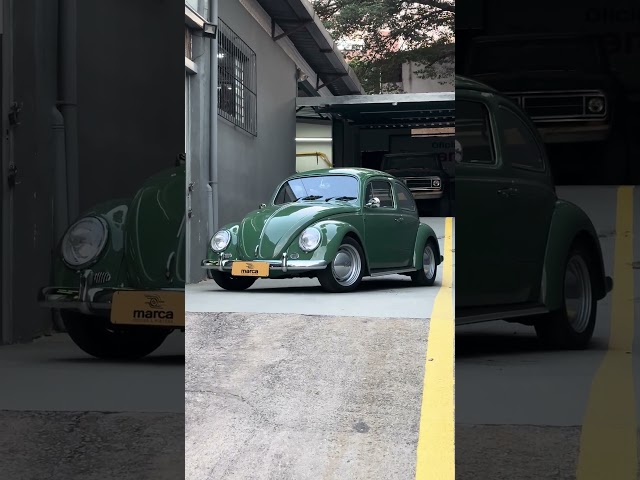 Essa combinação ficou um espetáculo! Fusca 69 Verde Folha #fusca #restoration #classic