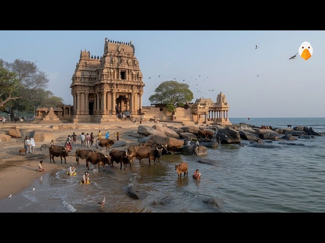 மகாபலிபுரம், இந்தியா🇮🇳 பழமையான கோயில்கள் மற்றும் 1300 ஆண்டுகளுக்கும் மேலான பாறை சிற்பங்கள் (4K HDR)