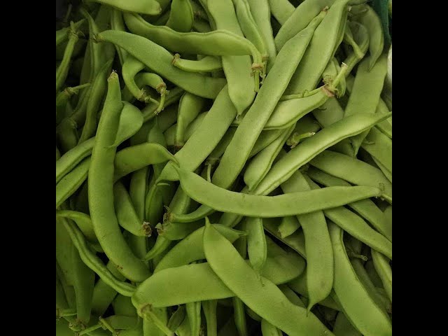 Italian Pole Beans, Stewed with San Marzano Tomatoes