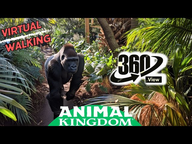 360º View 🦧 Gorilla Falls Exploration Trail * Animal Kingdom  Florida *VR *Virtual Reality