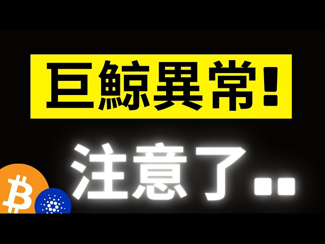 比特幣反彈來到關鍵! 貝萊德卻出現歷史第二大流出.. XRP大鯨魚瘋狂囤積..似乎在醞釀什麼! ADA也出現異動..!? #eth #xrp #ada