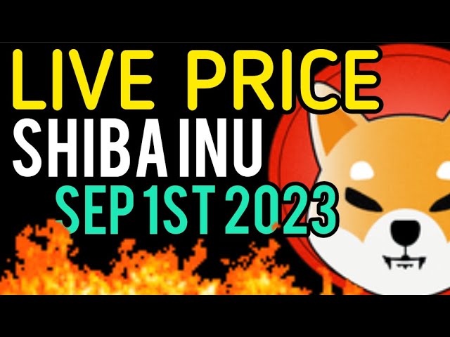 LIVE PRICE Shiba Inu Coin September 1st 2023 - EN VIVO