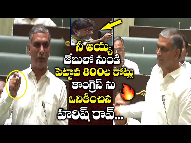 Harish Rao Power Full Speech In Assembly | TS Assembly | Politicaltoday