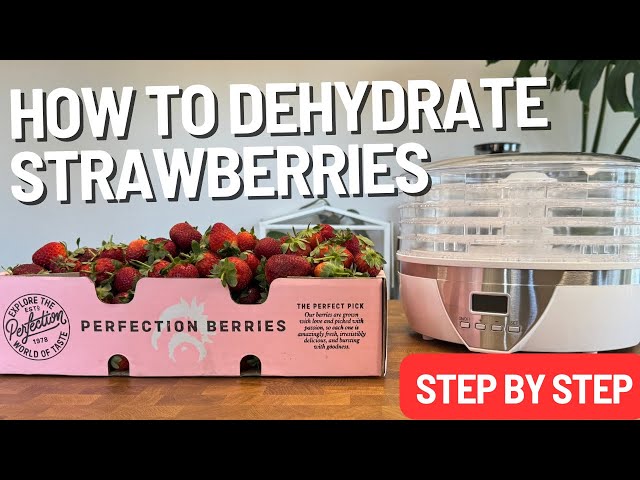 Easily DEHYDRATE Strawberries at Home