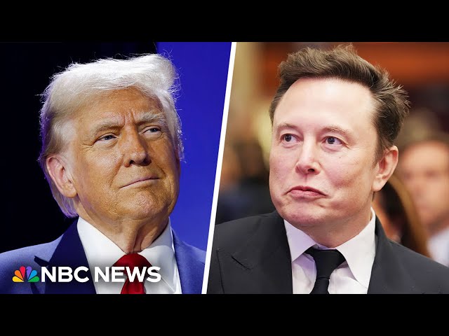 Trump says Musk will look at cutting Pentagon and education spending