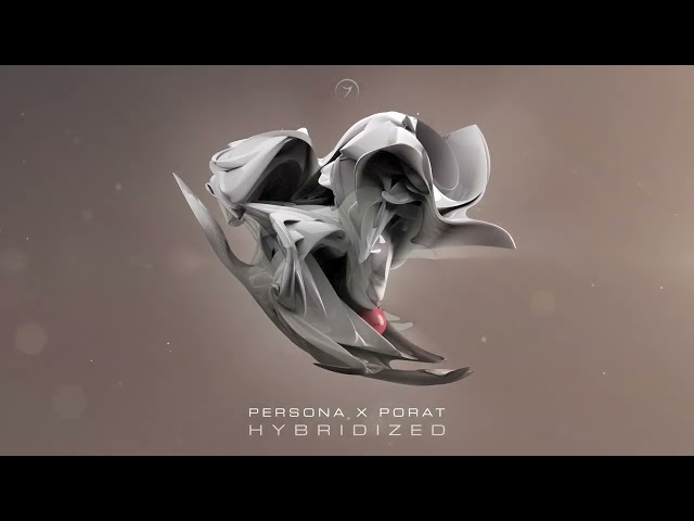 Persona x Porat - Where is the Hook