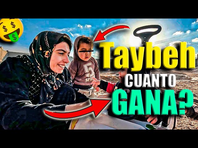 🤑 TAYBEH cuanto DINERO GANA en YOUTUBE | cuanto GANA TAYEBA DE IRAN