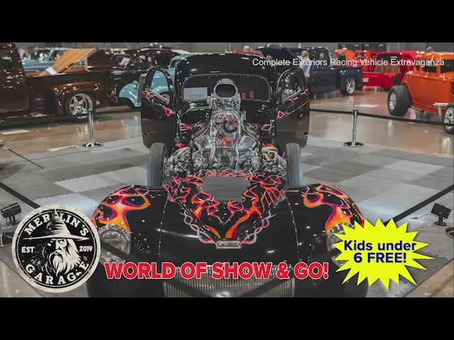 Racing Vehicle Extravaganza