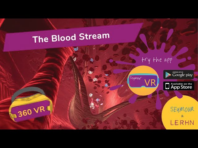 Swim Along the Arteries and Through the Heart as part of the Blood Stream in 360° VR