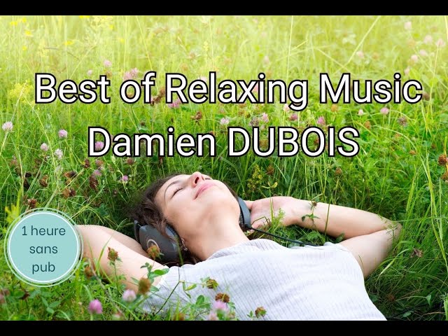 1h sans pub des meilleures musiques de relaxation de Damien DUBOIS - Méditation -Reiki -Spa -Massage