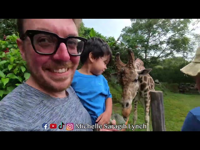 main ke taman safari + mukbang pagi sore