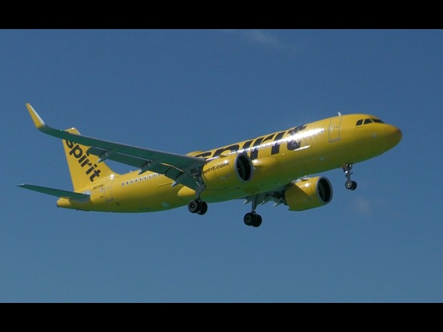 Airbus A320 | Boeing 737 | ATR 42-500 Sint Maarten airport (SXM) landin