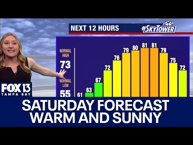 Tampa weather | Sunny and warm temperatures