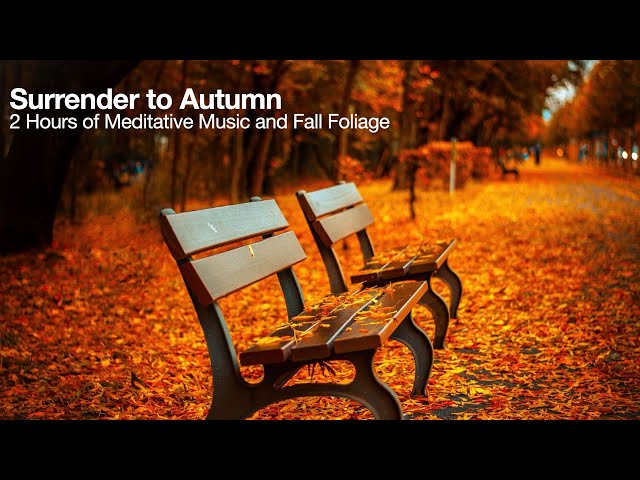 🍁 Embrace Nature: Autumn Meditation for Love, Beauty and Focus #meditationmusic #autumn