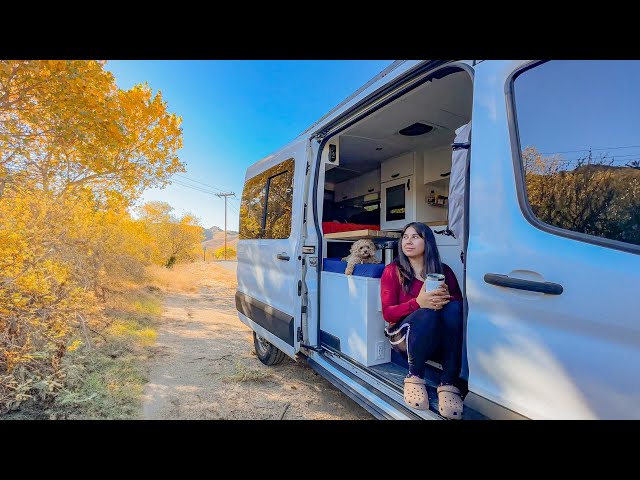 VAN LIFE: I Thought Someone Was BREAKING IN! Solo Female Safety Tips