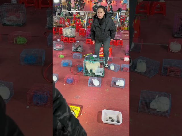 This man found a dog at the fair 😱 #shortvideo