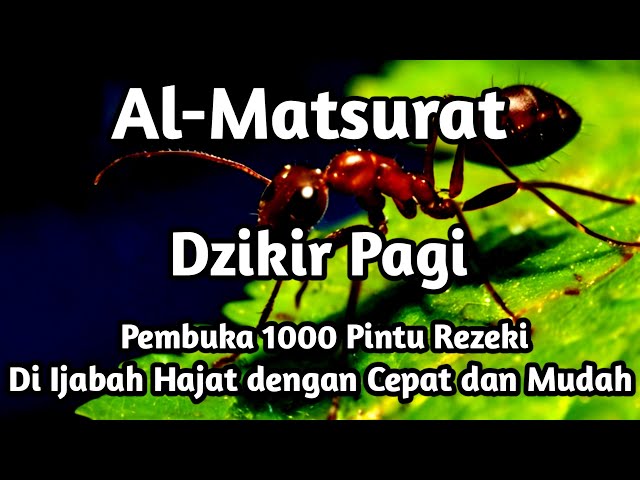 MEMPERLANCAR REZEKI DARI SEGALA PENJURU | AL-MATSURAT