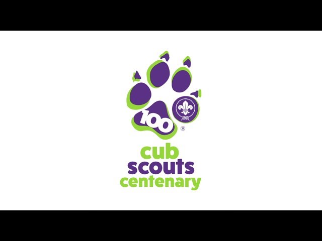 Cubs Scouts 100