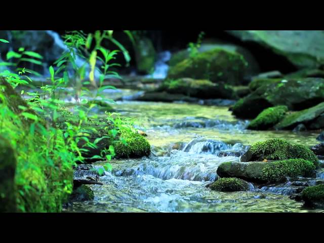 Nature Sounds Without Music - 10-Minutes of a Mountain Stream