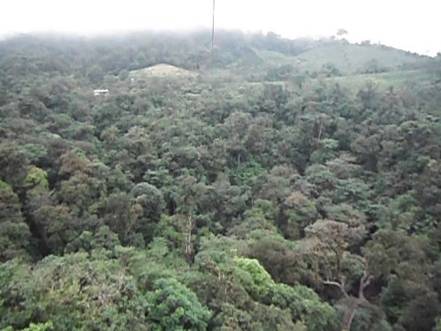 Zip lining Costa Rica jungle 2016 🇨🇷