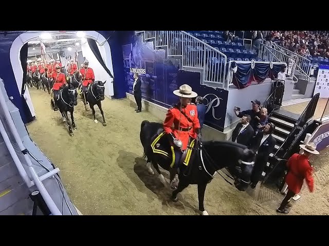 Royal Canadian Mounted Police Musical Ride in HD 360° VR