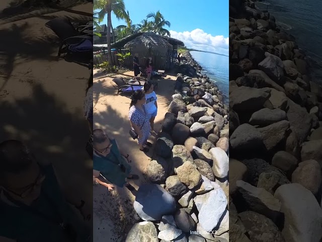 fish feeding day in Fiji