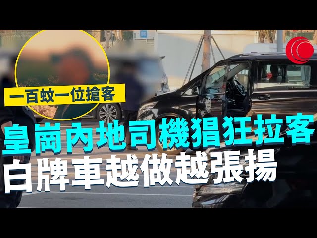 一線搜查｜皇崗內地司機猖狂拉客 白牌車越做越張揚 跨境中港接送 一百蚊一位搶客｜688集｜有線新聞 宋熙年 林靜莉｜一線搜查｜HOYTV 77台