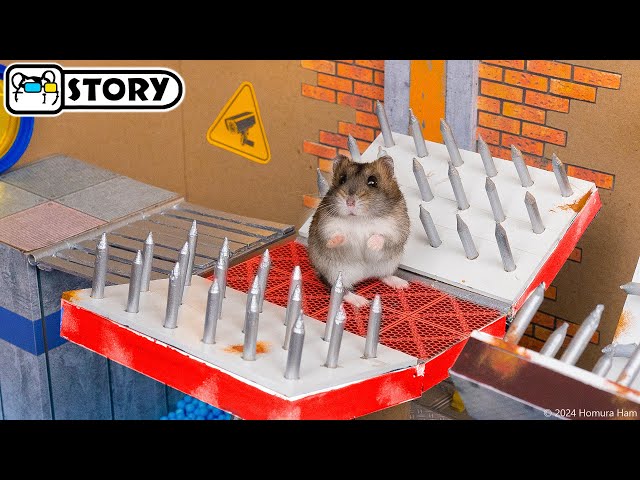 Hamster Escapes the Most Dangerous Prison Maze with Traps 🐹 Homura Ham Pets