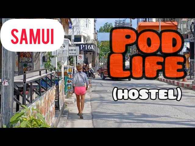 Hostel Review - Remember P168 Samui! 👍