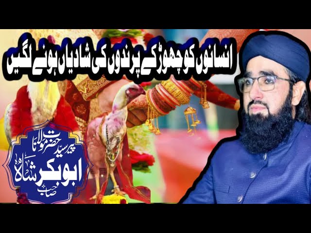 Molana Syed Abubakar shah |Insanon ko chor Kay parindon ki shadiyan honey lagein | official |