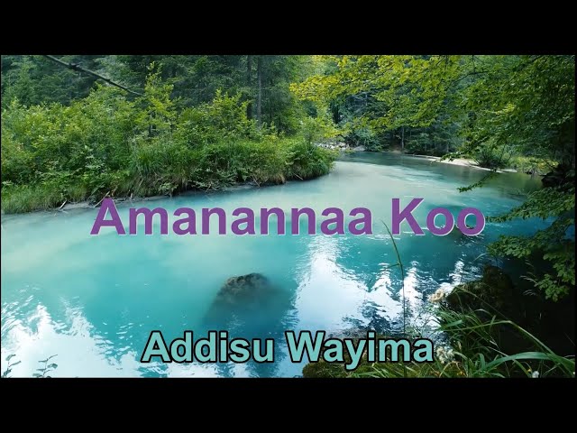 Addissu waayimaa | Afaan Oromo gospel song // Amanannaa Koo