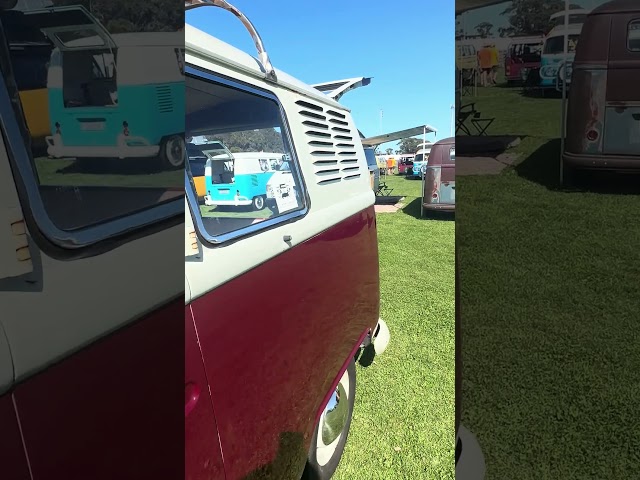 Old Bar Beach Kombi Festival - 1967 Kombi with a kitchen #OBBF2024 #OldBarBeach #Kombis #shorts