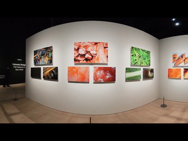 OPPO: Painting with Light Exhibition in 360