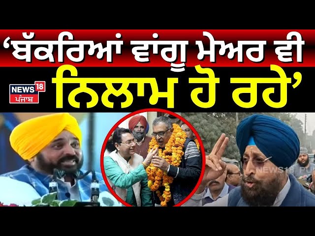 Partap Bajwa : ਬੱਕਰਿਆਂ ਵਾਂਗੂ ਮੇਅਰ ਵੀ ਨਿਲਾਮ ਹੋ ਰਹੇ | Phagwara News | Raja Warring| Congress | N18L