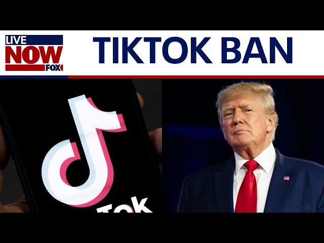 TikTok Ban: Will TikTok be available to use in 2025?